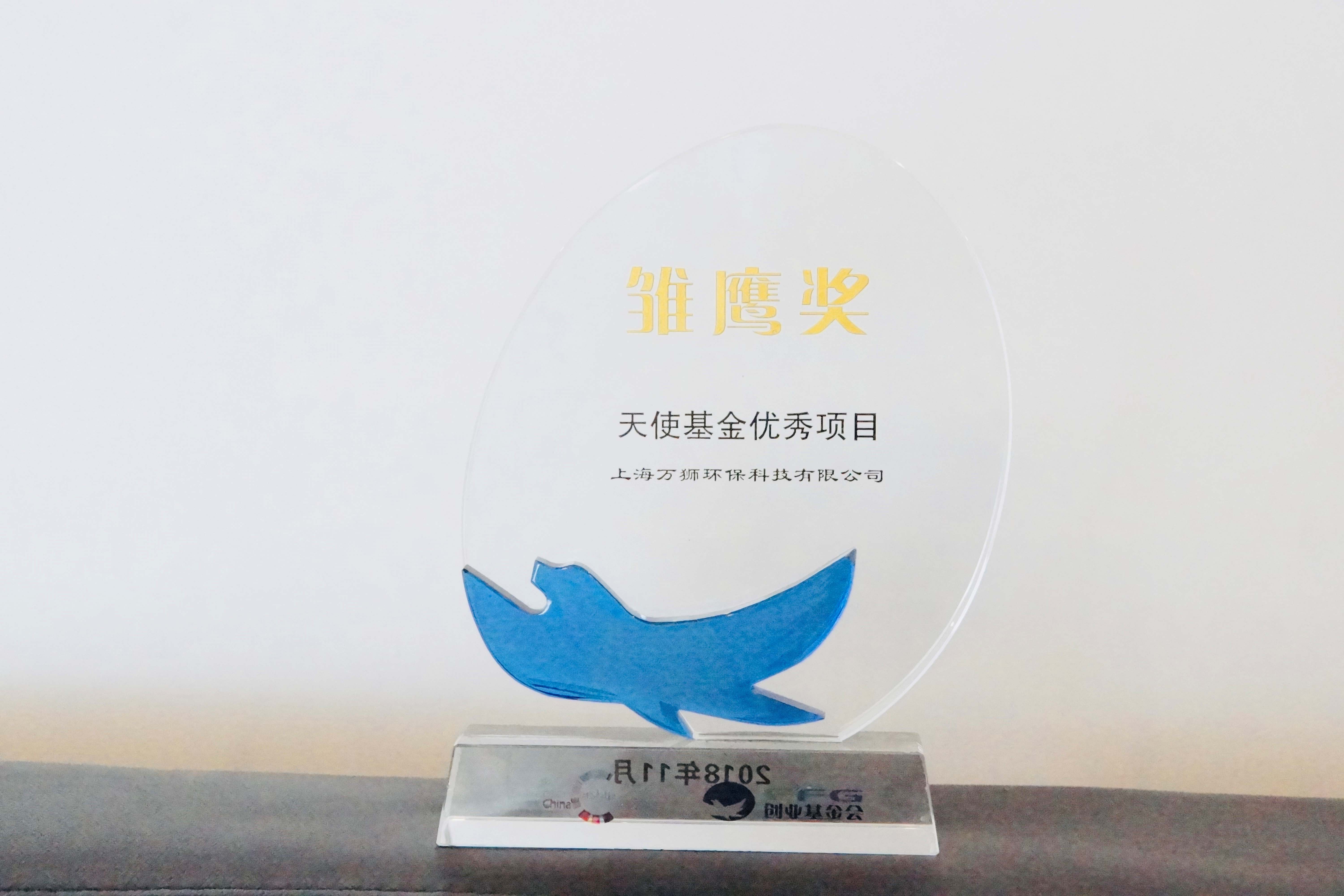 Eyas Awards for Excellent Angel Fund Projects